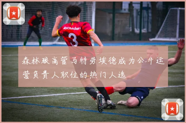 森林狼高管马特劳埃德成为公牛运营负责人职位的热门人选